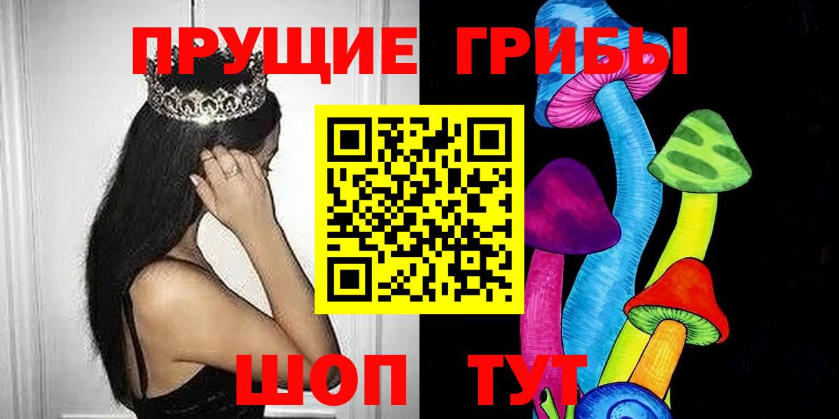 Сальск  Псилоцибиновые грибы мухоморы  Вход с VPN 