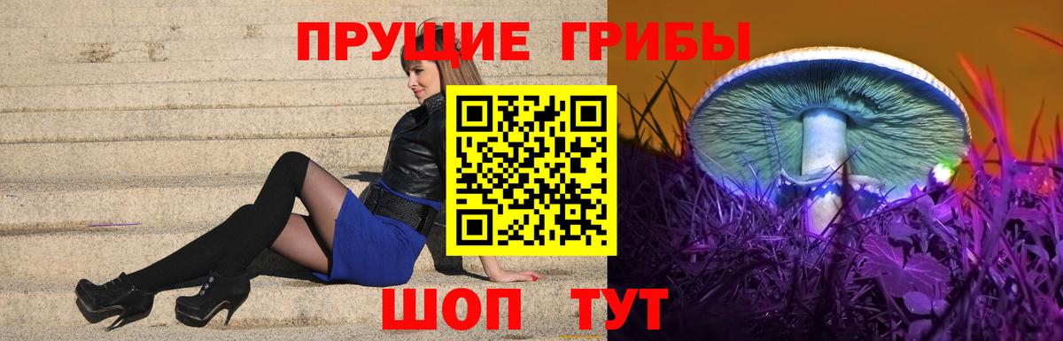 Псилоцибиновые грибы прущие грибы Сальск