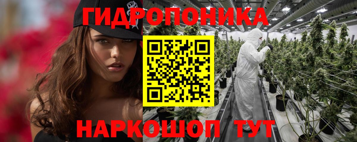 Шишки марихуана ГИДРОПОН  Каннабис VHQ  Сальск  Канабис тримм  Вход с VPN 